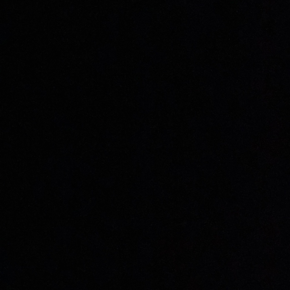 Meet your Posher, Eva